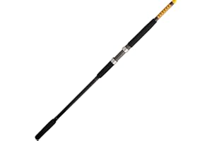 Ugly Stik Bigwater Casting Fishing Rod