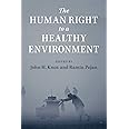 The Human Right to a Healthy Environment