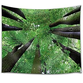 Looking Up at The Trees at a Forest - Fabric Tapestry, Home Decor - 51x60 inches
