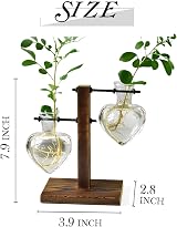 XXXFLOWER Plant Pots Wooden Stand Glass Vase Terrarium Propagation Station view 2
