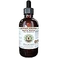 Kava Kava Alcohol-Free Liquid Extract, Kava Kava (Piper Methysticum) Dried Root Glycerite Hawaii Pharm Natural Herbal Supplement 2 oz