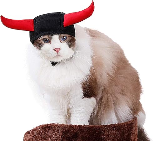 halloween cat bandana