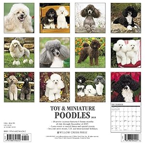 Toy & Minature Poodles 2018 Calendar