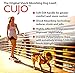EzyDog Cujo Shock Absorbing Bungee Dog Leash - Best Dog Rope Training Lead - Reflective Trim for Nighttime Safety - Padded Pull Handle for Superior Comfort and Control (25