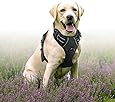RABBITGOO No Pull Dog Harness Large Dog Pet Harness Adjustable Pet Vest for Outdoor Walking