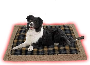 お洒落 F Fityle 犬猫用 ベッド ソファー 柔らかい 安全 暖かい 取り外し可能 洗濯 品 在庫処分大特価 Centrodeladultomayor Com Uy