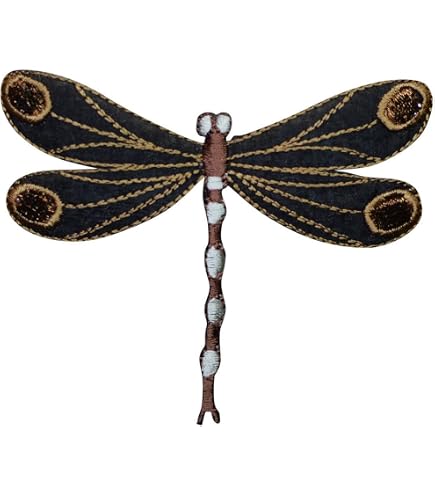 Colorful Dragonfly Applique Patch – Iron-On Embroidered Bug Insect Badge (2-Pack)