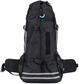 Hiking Backpack With Waist Strap Flash 
