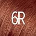 L'Oreal Paris Excellence Creme Permanent Hair Color, 6R light Auburn, 100 percent Gray Coverage Hair Dye, Pack of 3