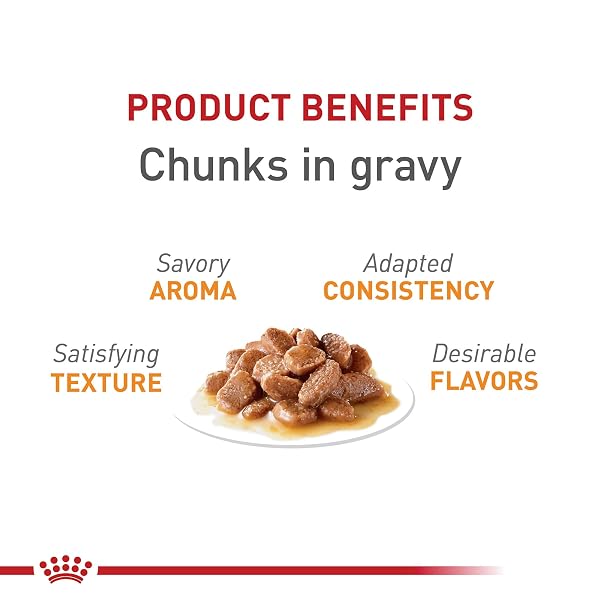 ROYAL CANIN FELINE CARE NUTRITION HAIR & SKIN CARE ADULT CHUNKS IN GRAVY CAT FOOD, 3 OZ