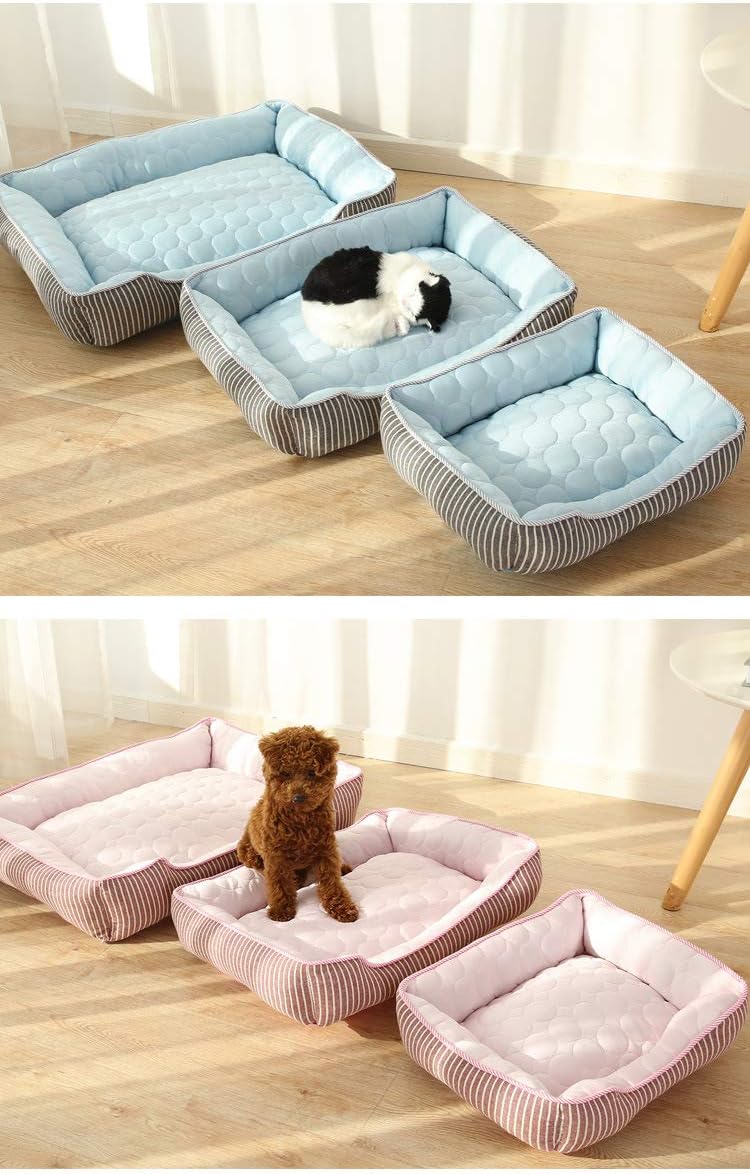 cold dog bed