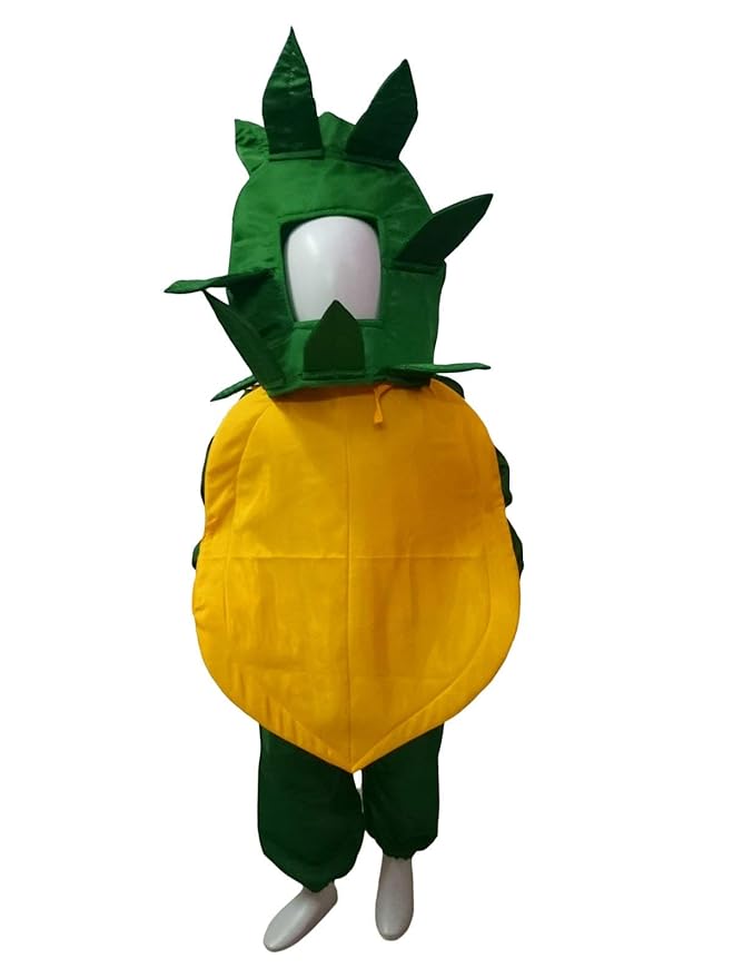 Buy BookMyCostume Papaya Fruit Kids Fancy Dress Costume 23 years
