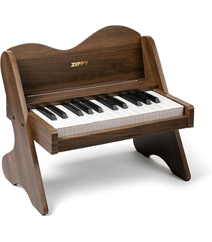 Amazon.com: ZIPPY Kids Piano Keyboard, 25 Keys Digital Piano for