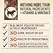Purina Beyond Turkey and Green Bean in Gravy Natural Grain Free Wet Dog Food with Added Vitamins and Minerals - (Pack of 12) 12.5 oz. Cans