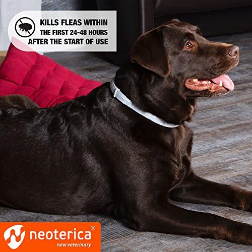 rolf flea and tick collar