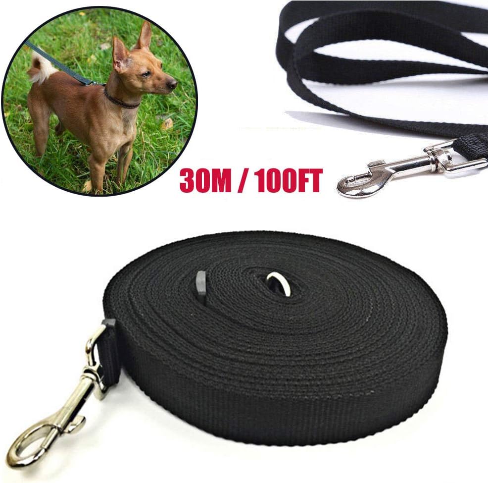 100Ft Dog Training Leash Lunge Lead for Camping Tracking Recall Training Obedience Backyard Play 30M Polypropylene Leads, Black