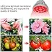 FAMURS 36W LED Grow Light Bulb with Deep Red 660nm Grow Lamp for Indoor Plants Flowering, Bloom
