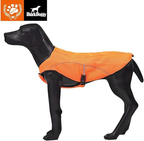 black doggy outdoor jacket