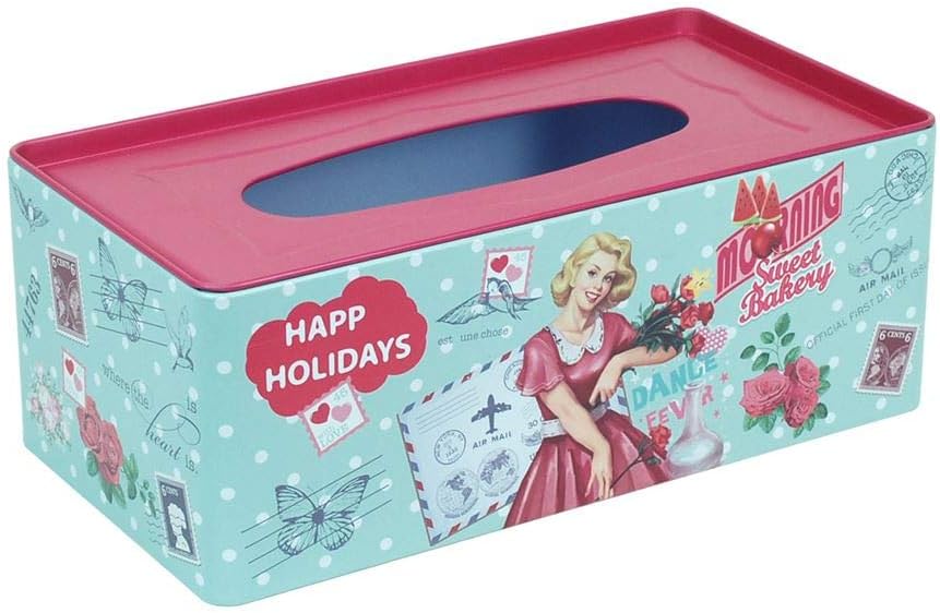 Home Gadgets Caja Pañuelos Retro Metalica 25 cm: Amazon.es: Hogar
