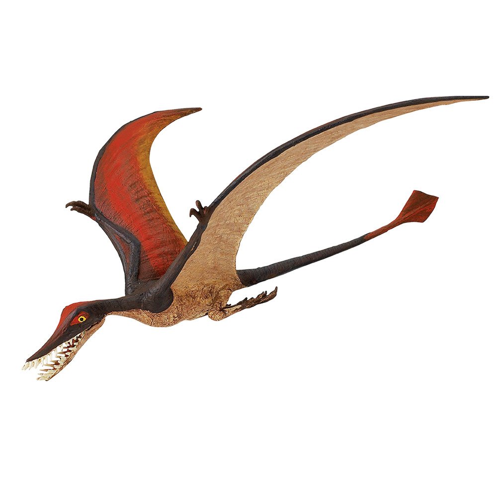 Toob Rhamphorhynchus