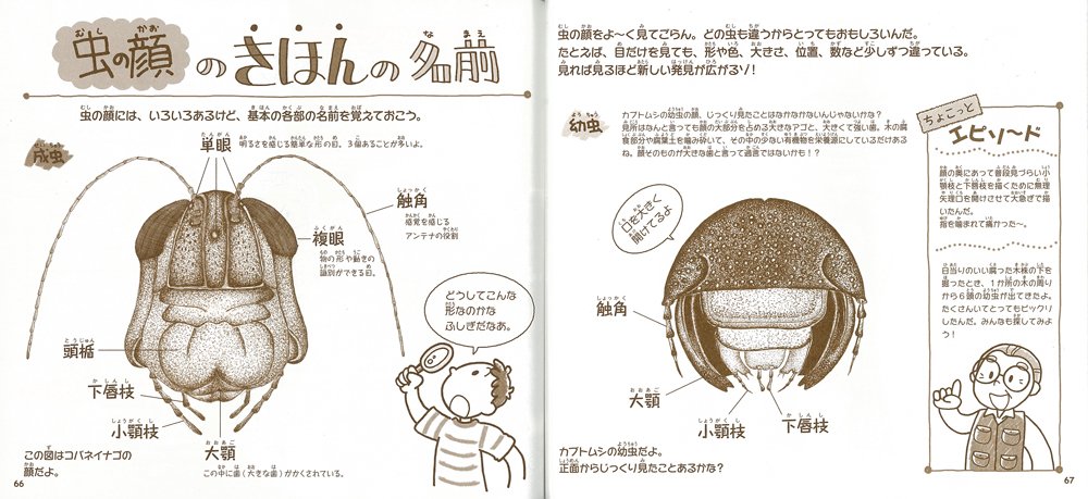 昆虫びっくり観察術 1 顔からみえる虫の生き方 すごいのみーっけ 自然観察ブック Makoto Ishii Amazon Com Books