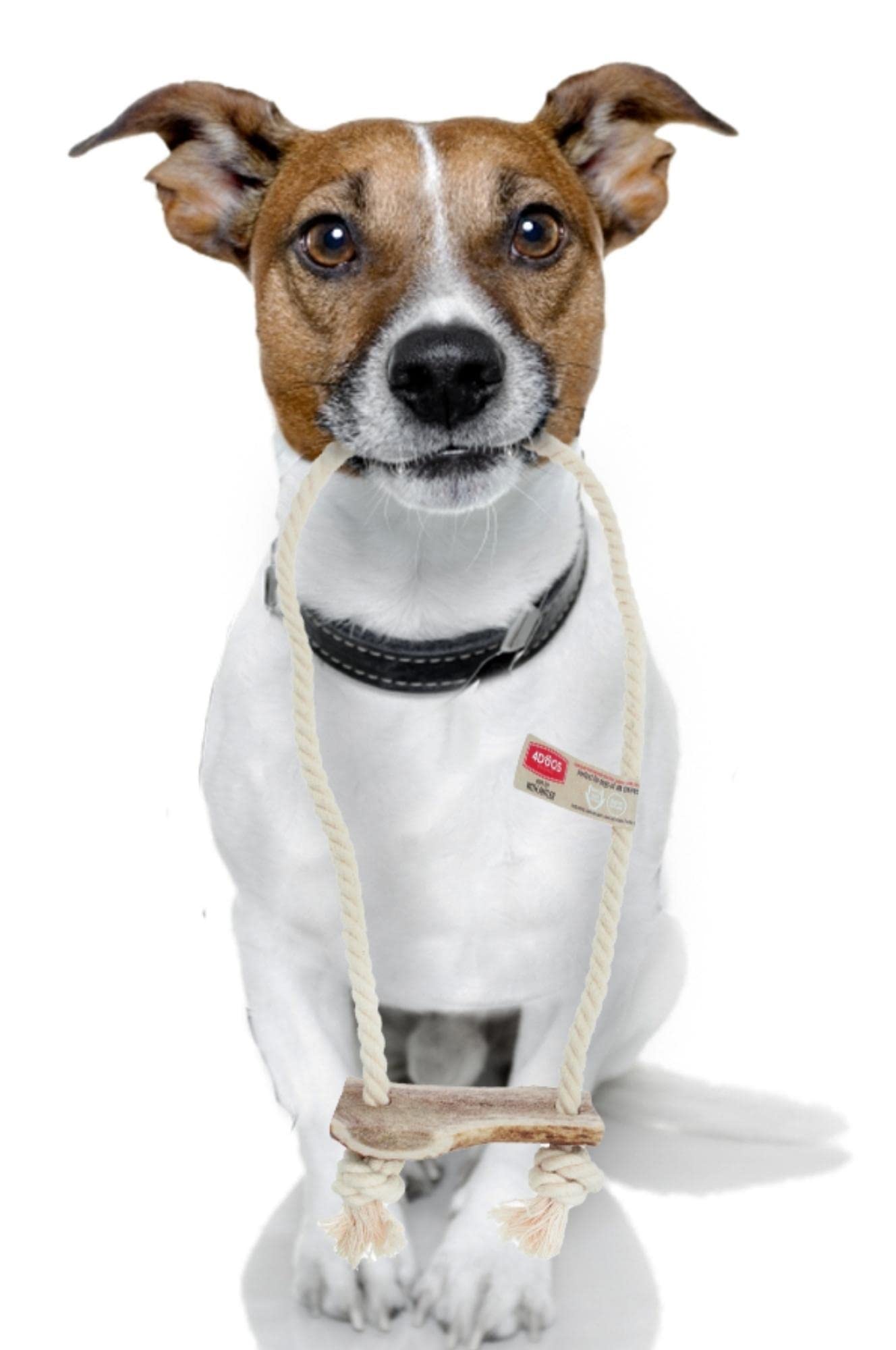 4DOGS Indestructible Dog Rope Toy for Dog Teeth Cleaning Combined with Natural Dog Chew Antler, This is 100% Natural Gluten Free, GMO Free Dog Toys - 1 Piece Hook Easily Chewable - Medium