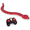 Terra by Battat – Rainbow Boa – Infrared Remote Control Snake with Light-Up Eyes – Electronic Animal Toys and Playsets for Kids Aged 6 and Up