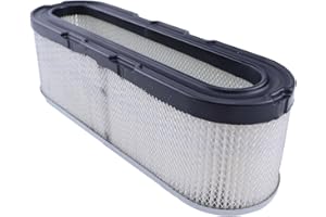 Chamixx Oval Air Filter Cartridge 399806S 4138 491519 5048 Compatible With Briggs&Stratton 253700 256700 280700 281700 10-12 