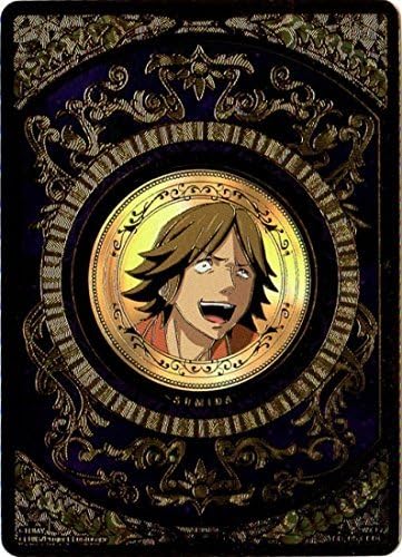 Amazon Wixoss ウィクロス Wx17 Co 05 コインカード 墨田壮 トレカ 通販