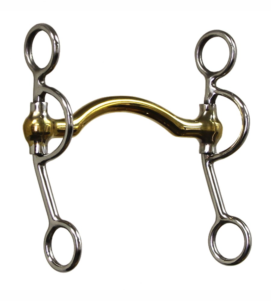 Opinion on this swivel shank curb bit? The Horse Forum