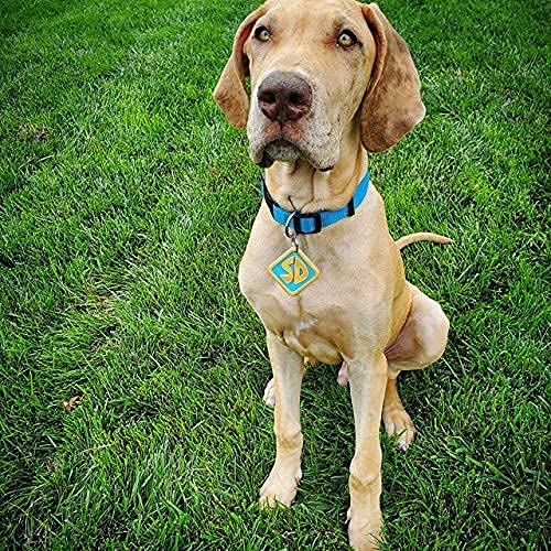 Scooby Doo Dog Tag Keychain Pricepulse