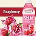 Premier Protein Clear Drink, Raspberry, 16.9 fl oz Bottle, (12 Count)thumb 1
