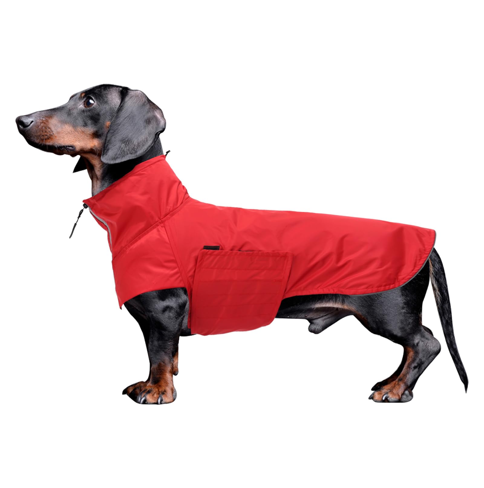 Geyecete Dachshund Raincoat, Miniature Dachshund Waterproof Adjustable Raincoat with High Neck and Harness Hole, Red, S โ image 1
