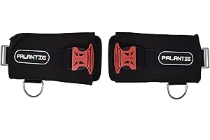Palantic Scuba Tech Universal Diving Weight Pocket System, Heavy Duty Nylon with Quick Release Buckles & D-Rings, Impact Resistant, 10-12 lbs Capacity per Pouch, Durable - Black, Pair