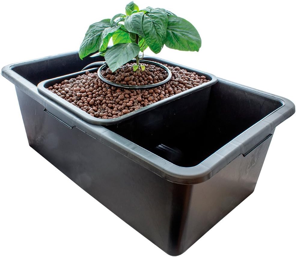 Sistema de cultivo hidropónico Baby Bubbler Kit Hydrogarden PLANT ...