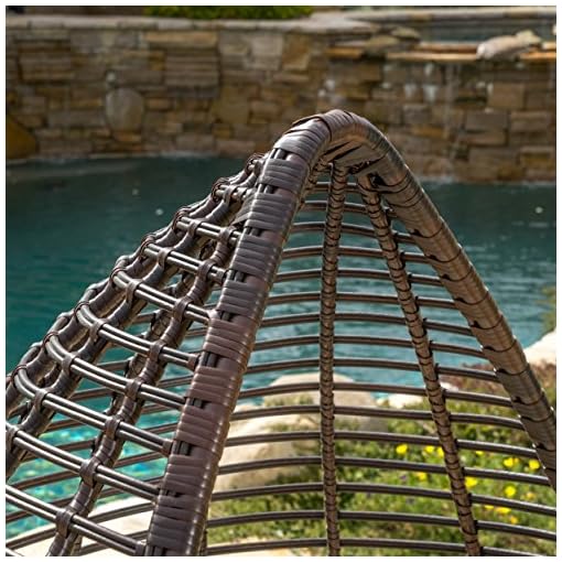 Christopher Knight Home Cutter Teardrop Wicker Lounge Chair with