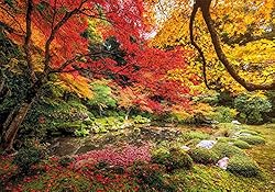 Clementoni Collection 31820, Autumn Park Puzzle for