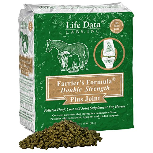 Top 10 Best Horse Supplements For Laminitis Best of 2018 Reviews No