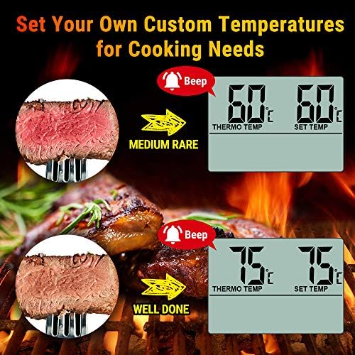 ThermoPro TP16 Thermomètre de Cuisson pour Viande Numérique avec Large Écran LCD pour Fumoir Four Cuisine Friandises Barbecue Grill Thermomètre avec Minuteur et Sonde de Températures en Acier Inoxydable - Cuisine A Vivre ThermoPro TP16 Thermomètre de Cuisson pour Viande Numérique avec Large Écran LCD pour Fumoir Four Cuisine Friandises Barbecue Grill Thermomètre avec Minuteur et Sonde de Températures en Acier Inoxydable
