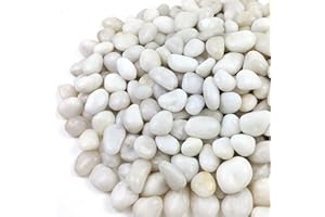 YISZM 10lbs White River Rocks, Small Natural White Pebbles for Plants, 3/4-1 1/4 Inch Decorative Rock High Polished Stones Vase Fish Tank Aquariums Landscaping Garden Outdoor and Indoor DIY