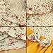 puseky Infant Toddler Baby Girls Floral Ruffle Shirt & Shorts Clothes Outfit Set