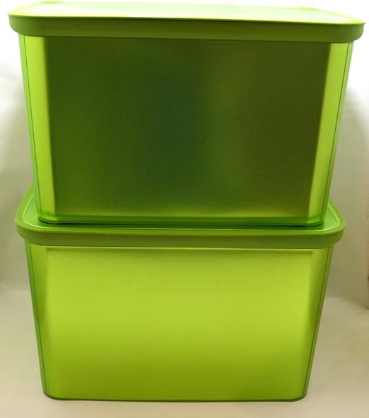 Curver Cajas Con Tapa Amsterdam L, 2 unidades), color verde metálico: Amazon.es: Hogar