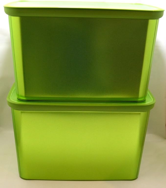 Curver Cajas Con Tapa Amsterdam L, 2 unidades), color verde metálico: Amazon.es: Hogar