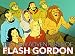 The New Adventures of Flash Gordon