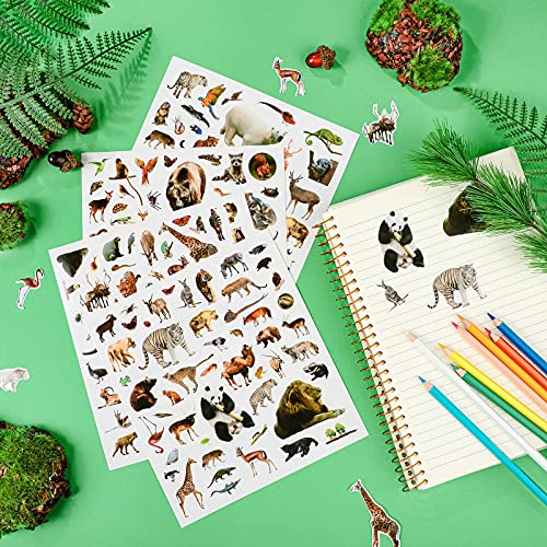 800 Pieces Jungle Animal Stickers Realistic Zoo Animal Stickers Safari