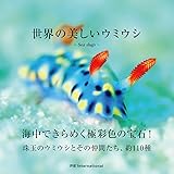 世界の美しいウミウシ