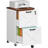 HOOBRO 2 Drawer File Cabinet with Lock, Under Desk Mobile Filing Cabinet for Home Office, Wooden Farmhouse Office Storage Cabinet, Printer Stand Fits Letter and A4 Size, Walnut and White WH66WJ01