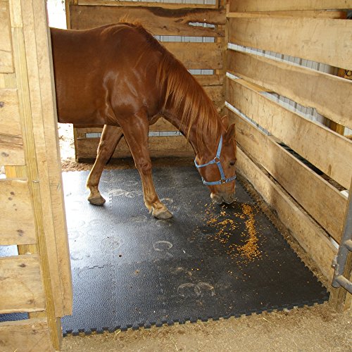 Greatmats Portable Horse Equine Stall Mats, Foam 2x2 ft,15 Pack (Black