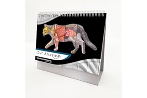 BLUE TREE PUBLISHING Cat Veterinary Anatomy Flip Charts, Anatomy & Veterinary Physiology Feline Workbook -30 Pages - 8." x 5" - for Vet Nurses and Students