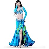 ROYAL SMEELA Belly Dance Costume Set for Women Belly Dancing Skirts Bra and Belt Sleeves Professional Suit 4pcs Mermaid Skirt Light Blue